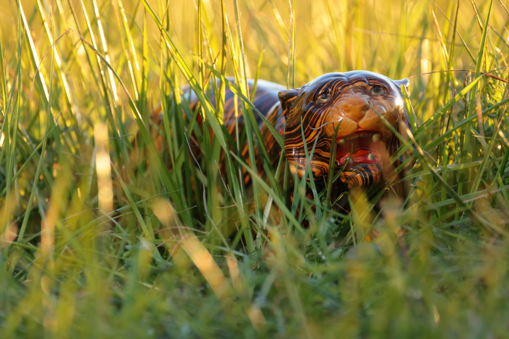 2022年「虎」の behind the&nbsp;scenes