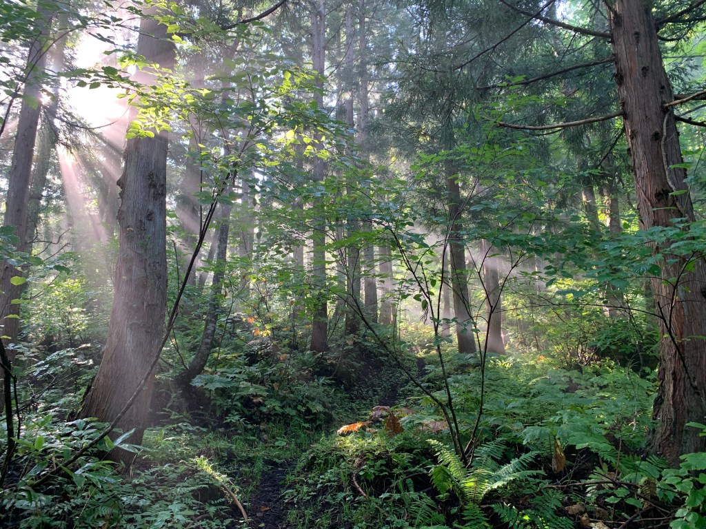 信越トレイル スルーハイク：Zero [概要・計画]